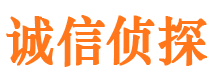 镇平市侦探调查公司